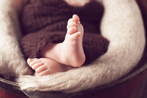 dallas ft worth newborn photographer