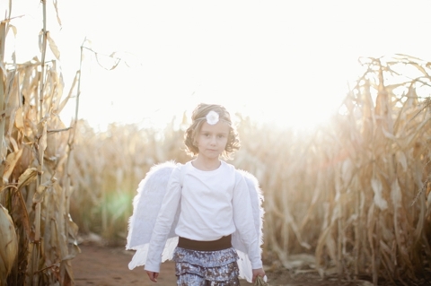 colleyville family photographer