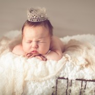 newborn photographer