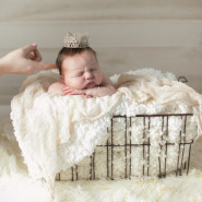 newborn photography