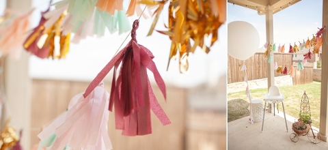 one year birthday photography in dfw