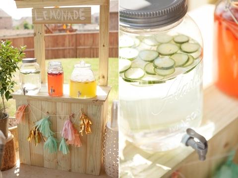 lemonade stand minis