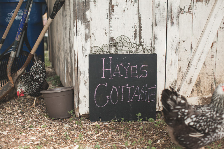 pinterest style pictures of a family on their farm in tx