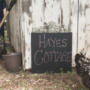 pinterest style pictures of a family on their farm in tx