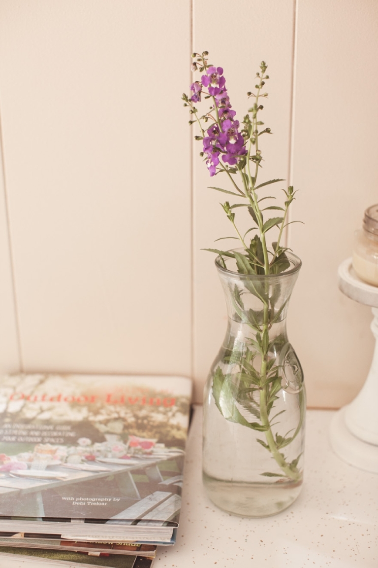 pinterest style pictures of a family on their farm in tx