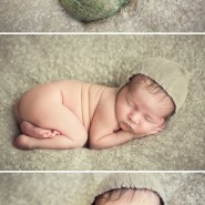 newborn boy picture ideas
