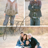 mini sessions in dallas area