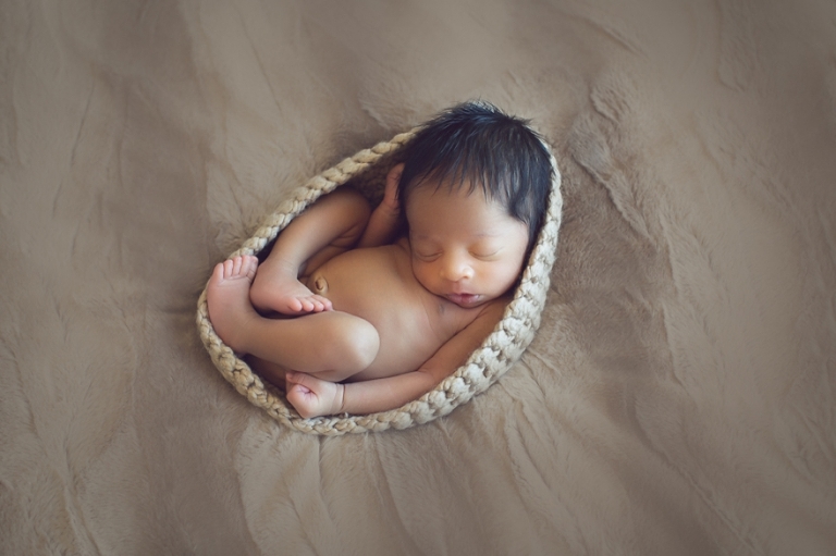 Top newborn photographers in dallas, fort worth
